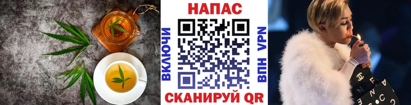 Cannafood конопля  Купить  Кузнецк 